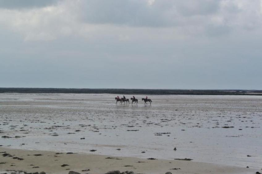 "Gîte de la Sienne" - foto 25