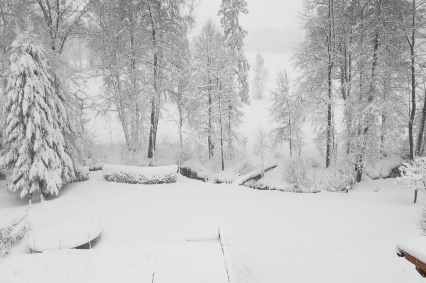 Thomas Müller - foto 38