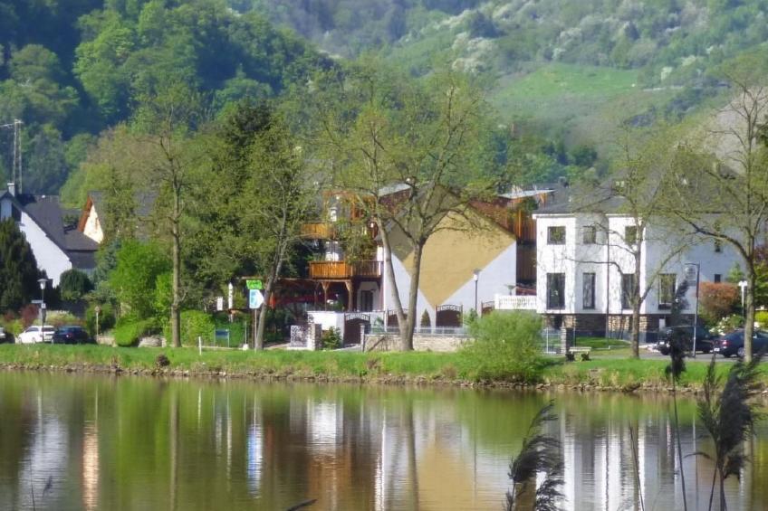 Moselidyll-Traumferienwohnung in exponierter Moselufer-Lage - foto 2