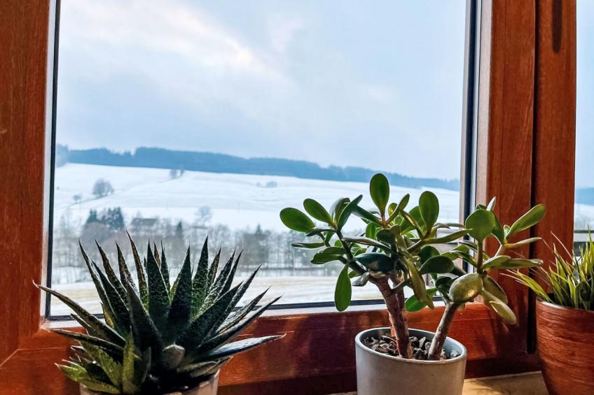 Green Valley Park Stárkov 21 - foto 7