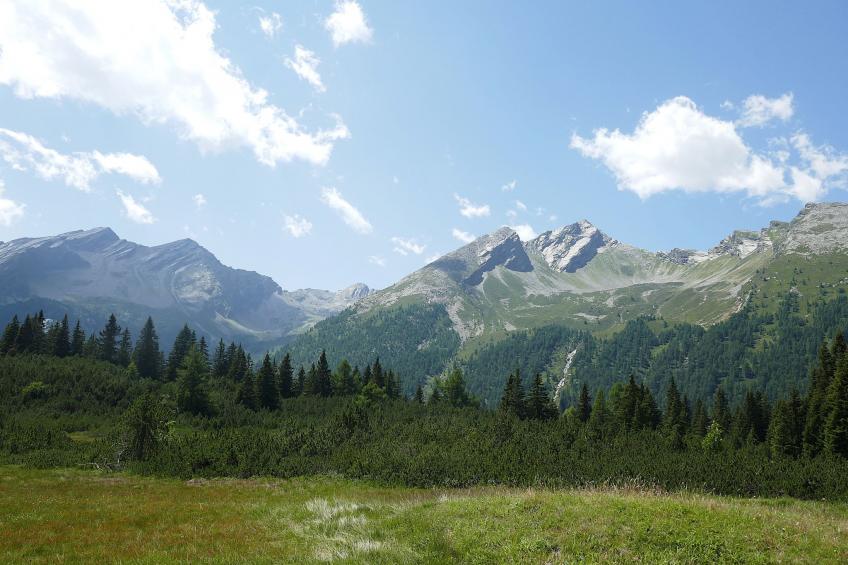 Nido delle Alpi - foto 34