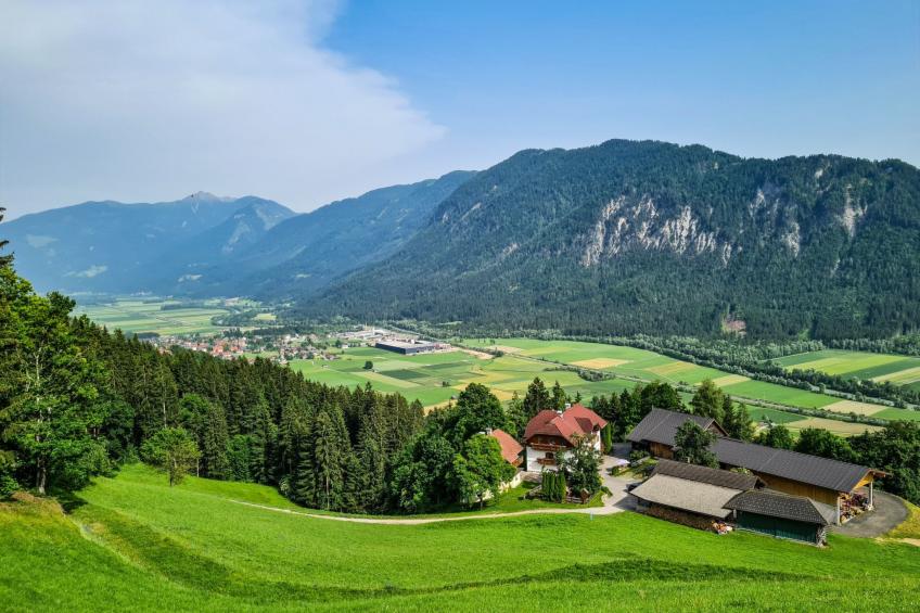 Waldpension Ranner - foto 4