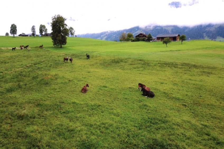 Doppelzimmer in Saalfelden-Pinzgau - foto 14