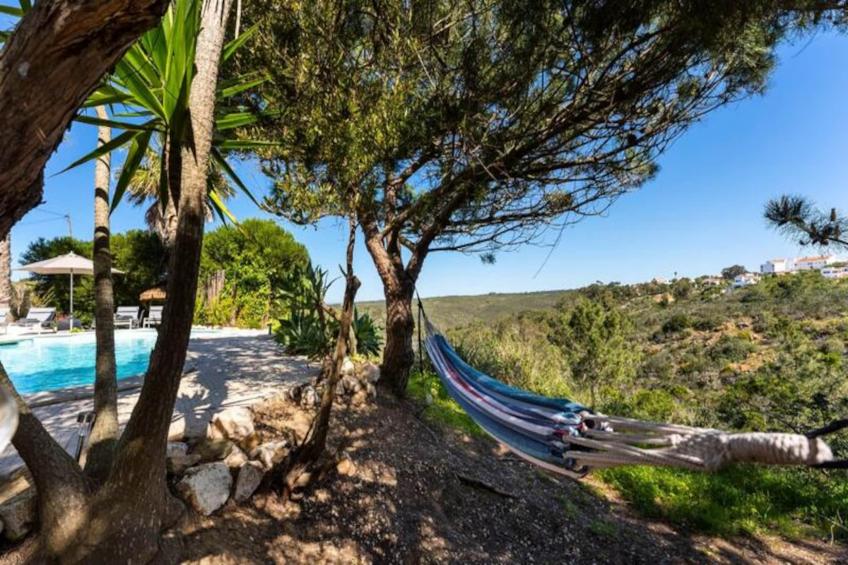 Duas Palmeiras - foto 47