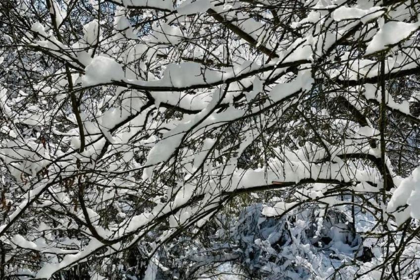 in Nieder-Werbe mit Großer Terrasse - foto 31