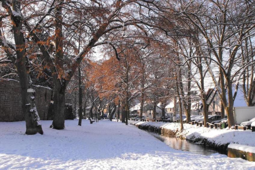 Maison de vacances - SCHLEITHAL - foto 39