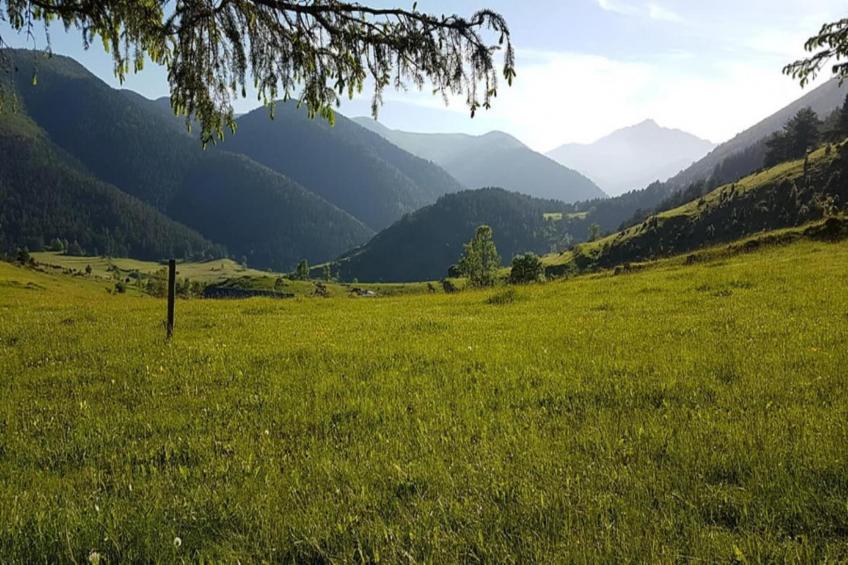Entre le Gers et les Pyrénées VII - foto 22