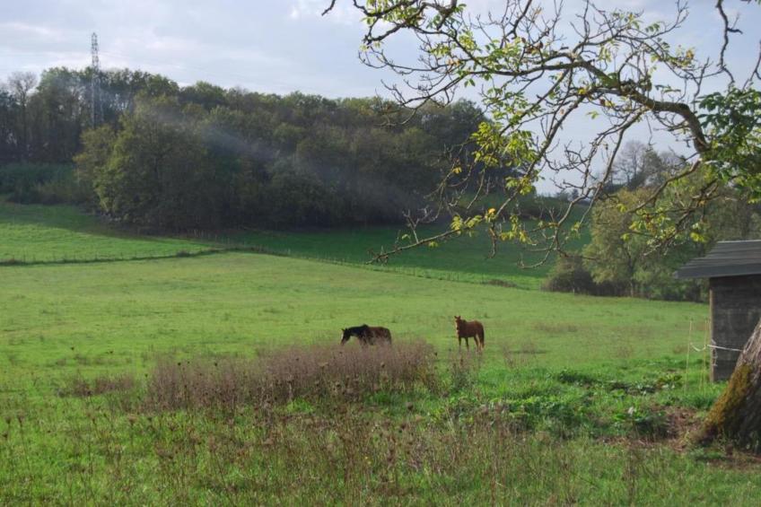 Maison de vacances - DIGES - foto 26