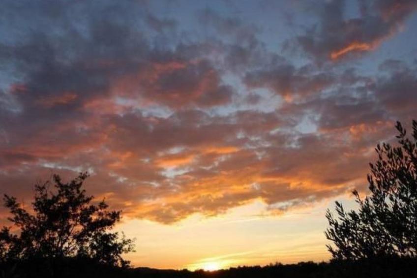 FERIENHAUS, FERIENHAUS "MAISON DE LAVANDE" (LAVENDELHAUS) - foto 49