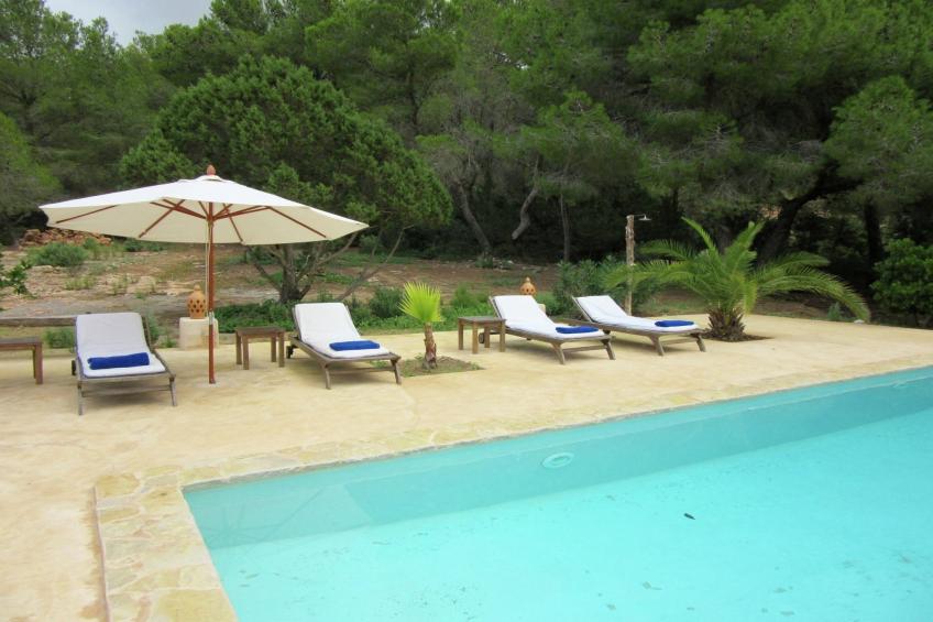 Finca Salvo - foto 8