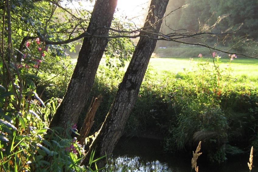 Urlaub in der Natur! - foto 23