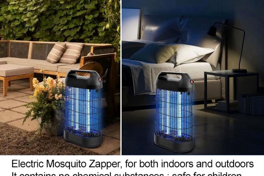 Die Orange und der Goldfisch - foto 8