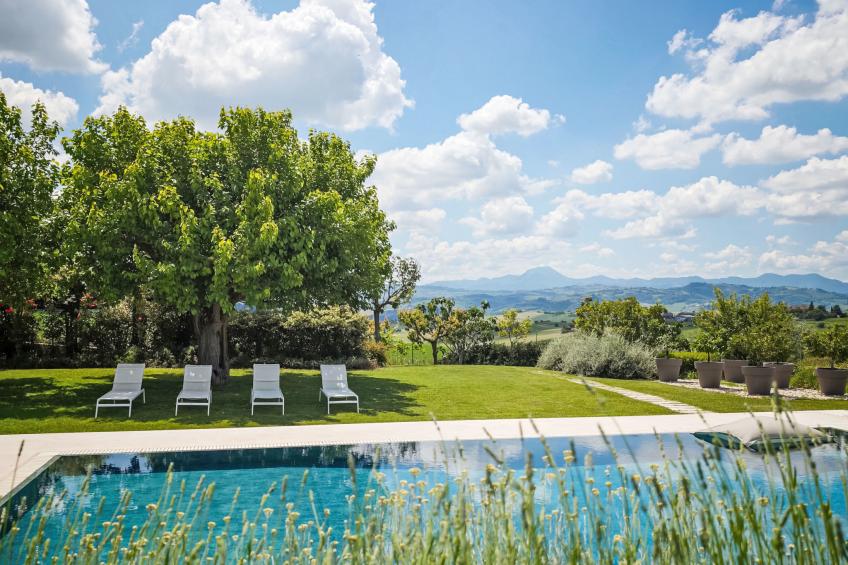 Mulberry Garden - foto 46
