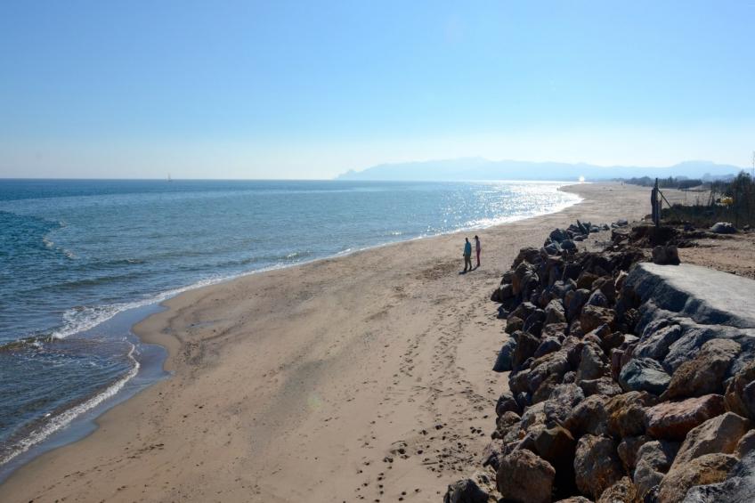 ELS PINS 3-F - foto 15