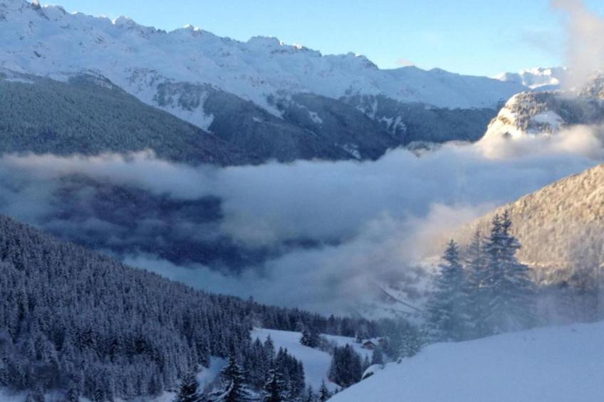 Maison de vacances - OZ EN OISANS - foto 22