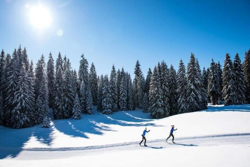 Superbe Appartement Au Pied Des Pistes - Le Chamois - foto 19