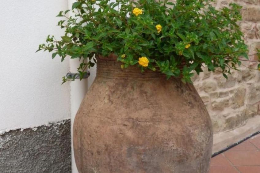 Landhaus mit Blick auf die Äolischen Inseln - foto 9