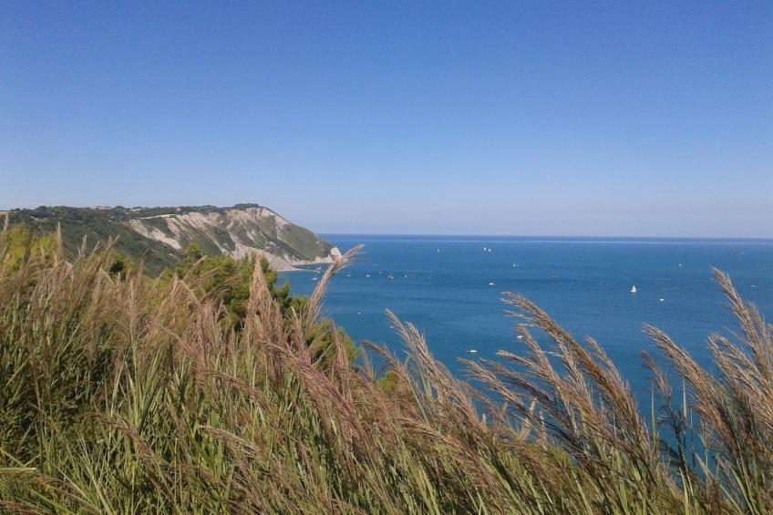 TRILO MARCO - foto 18