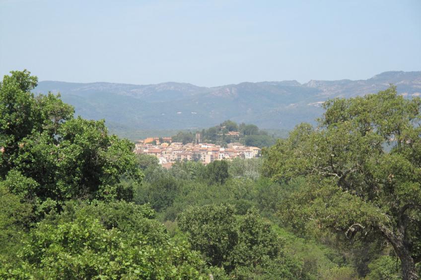Les Mas de Cogolin - foto 24
