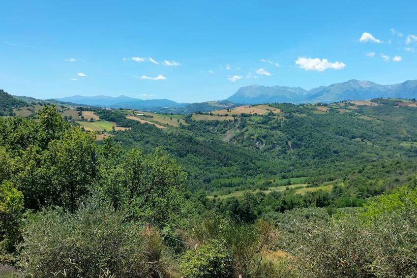 Charmantes Bauernhaus in Penna San Giovanni - foto 37