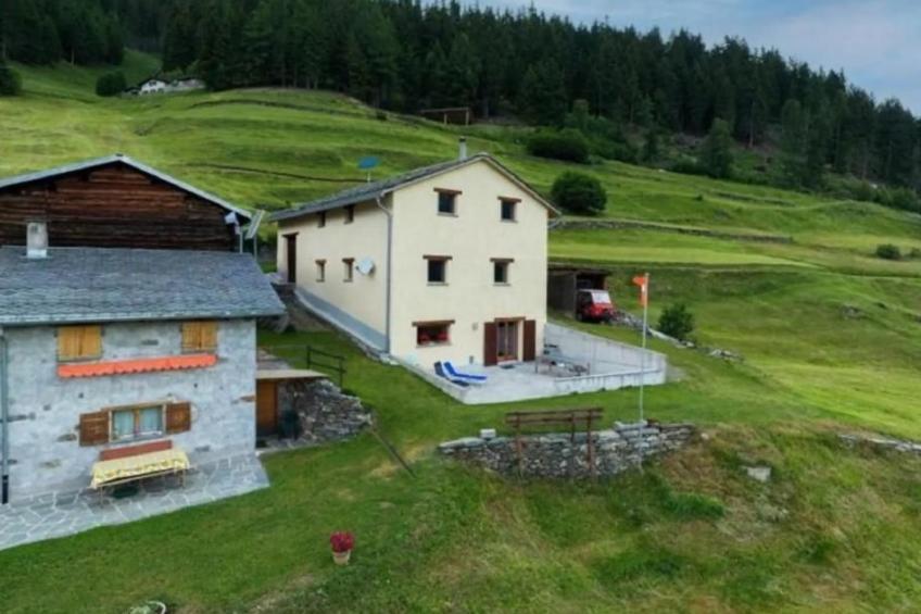 Monte Campell Dasura