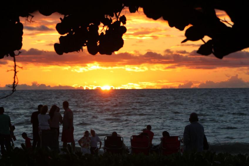 mit großzügigem Swimmingpool - foto 30