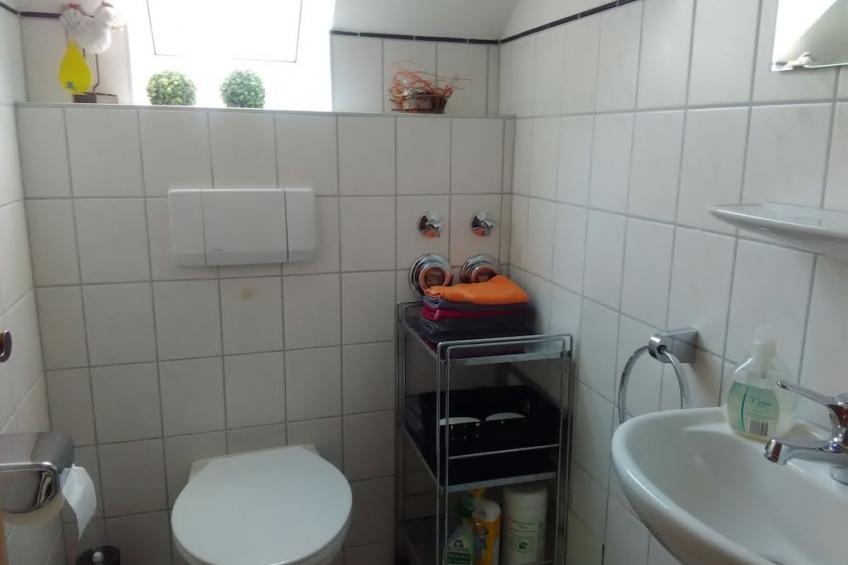 182891 - foto 13