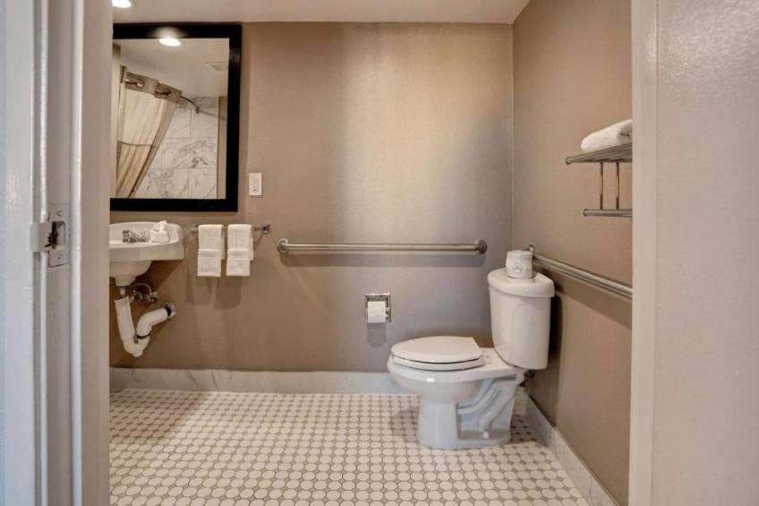 1 Queen Bed  ADA/RI Shower/Micfridge - foto 12
