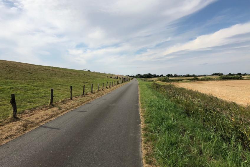 Reetdachhaus inmitten von Wiesen und Feldern - foto 34