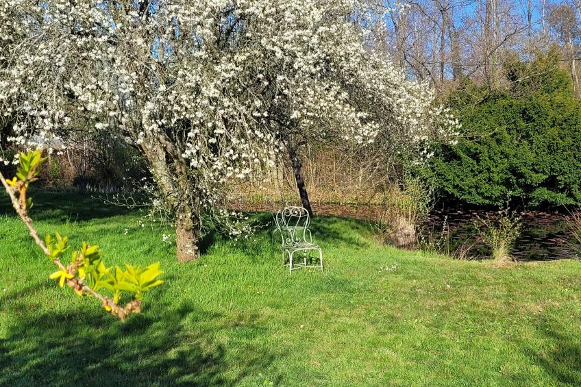 Renoviertes Ferienhaus in der Nähe von Cabourg-Deauville-Lisieux - foto 26