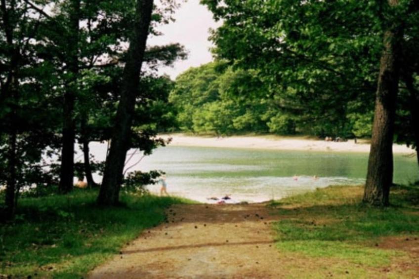 De Kibbelhoeve - foto 36