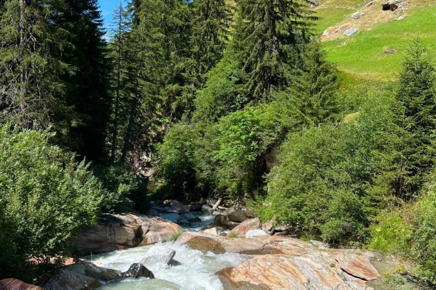 Chalet Vals - foto 16