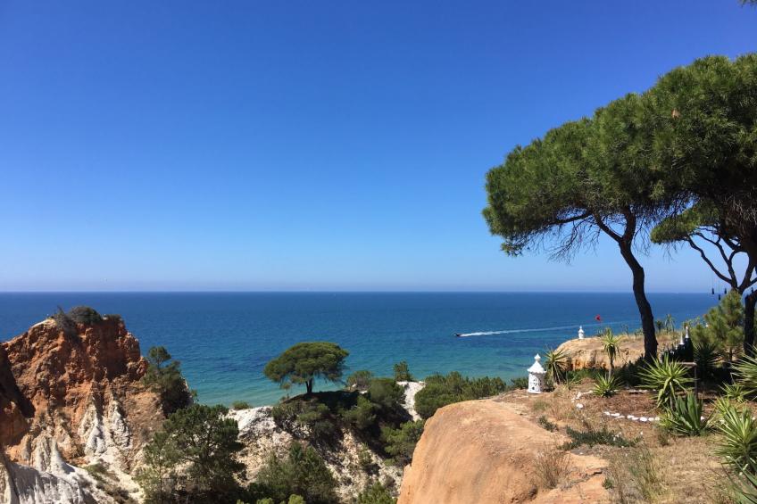 Ferienvilla mit Jacuzzi - foto 33