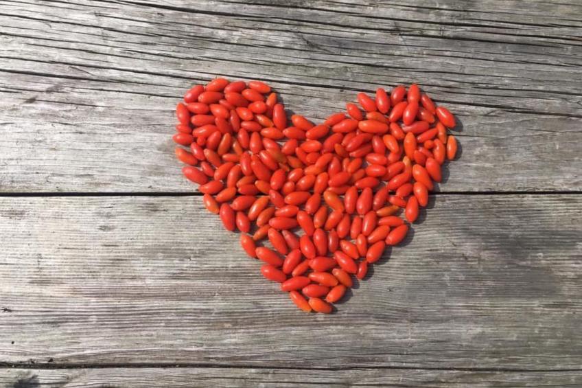 Kellerstöckl am veganen Bio-Lebenshof - Varm - the vegan Farm - foto 27