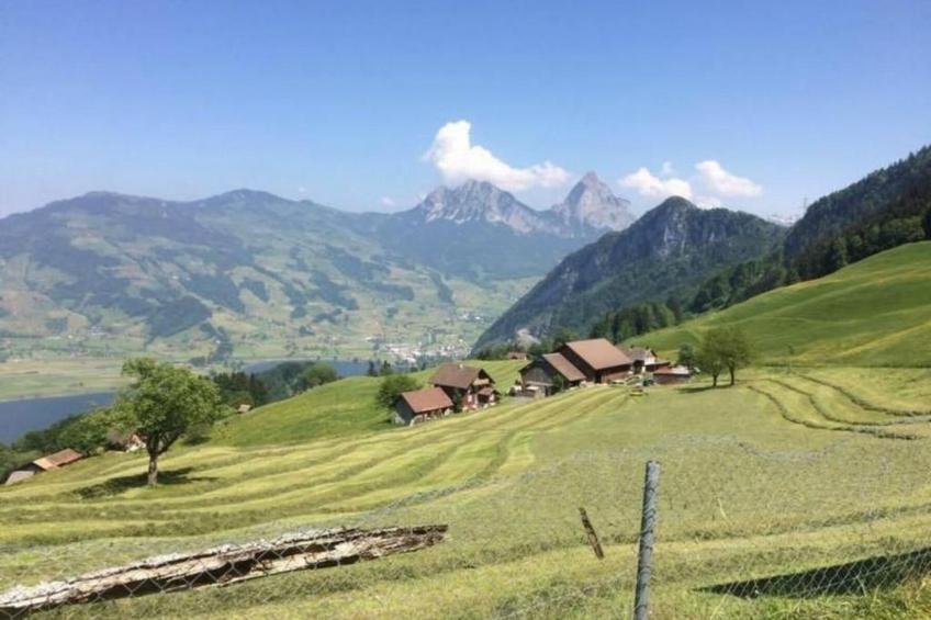 Guntern in Lauerz - foto 3