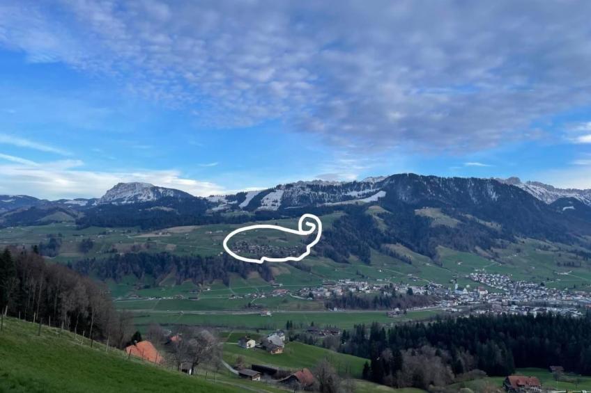 Chalet Muse - foto 29