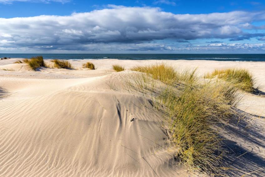 Bloem 'n Zee - foto 4