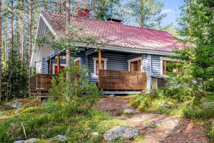 Koli, cjoe068 kanerva - foto 44
