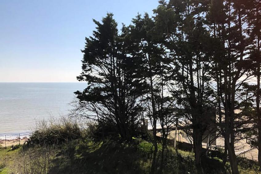 Appartements à La guerinière - Ile de Noirmoutier - foto 21