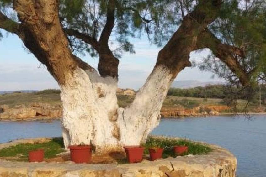 Zinovia Studio mit Balkon - foto 18