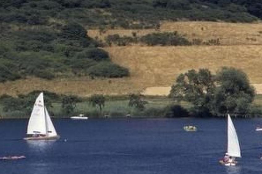 Maaridyll in Schalkenmehren - foto 28