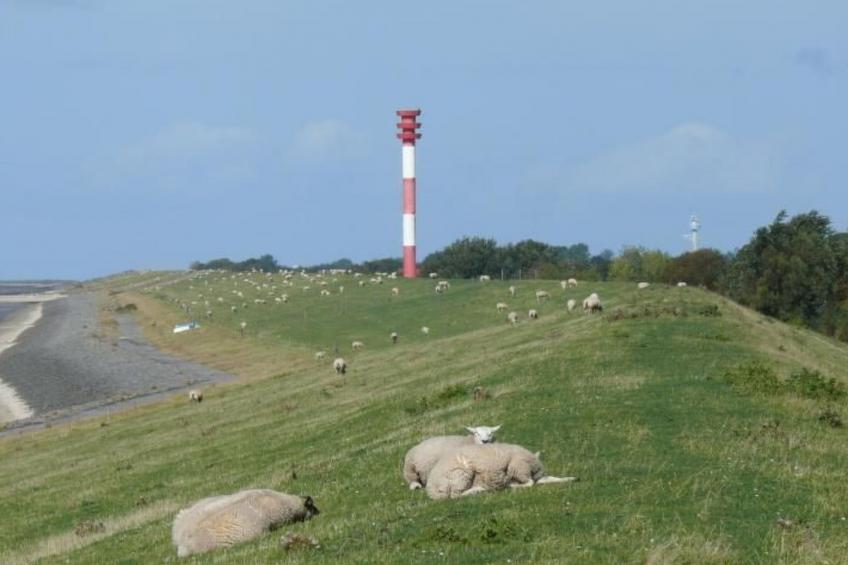 Nettes Ferienhaus in Großwürden mit Garten - foto 22