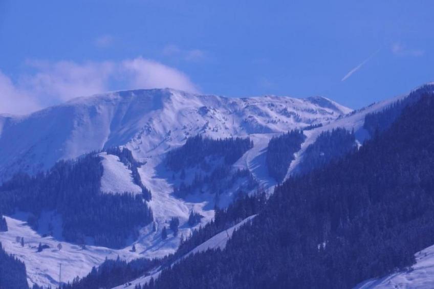 Appartement "Gams-Bartl"  1-2 Personen - foto 39