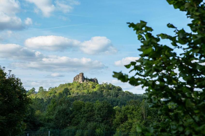 Eifel-Ferienhaus Rita Romag - foto 30
