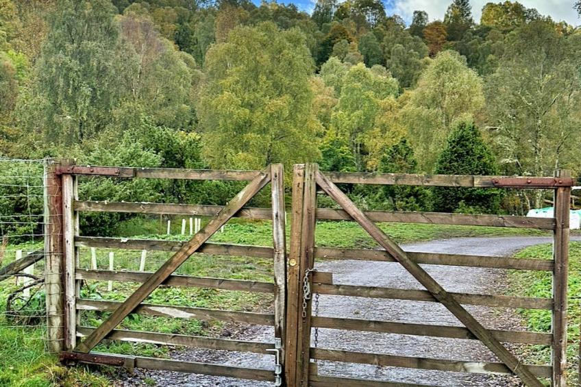 Cosagach Falls Cabin - foto 4