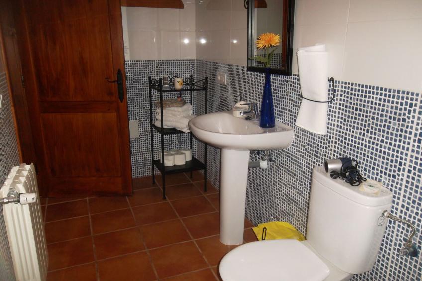 Finca mit Pool - foto 19