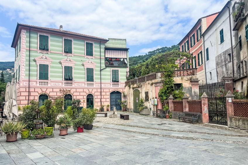 Le radici dell´ulivo - foto 32