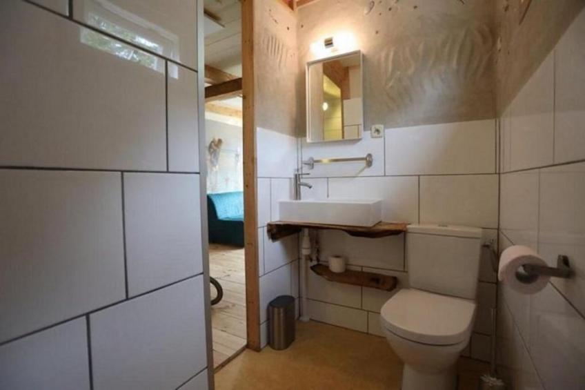 Campanula 171 - foto 6