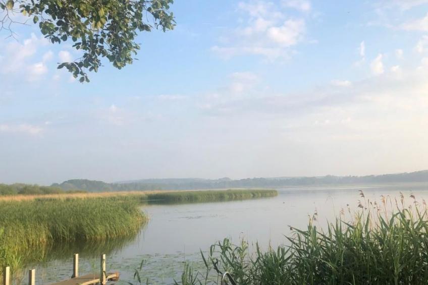 mit Sauna und Kaminofen - foto 29