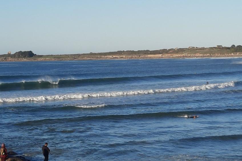 Die Ruhe des Landes am Meer in einer Region mit Gemüseanbau - foto 32